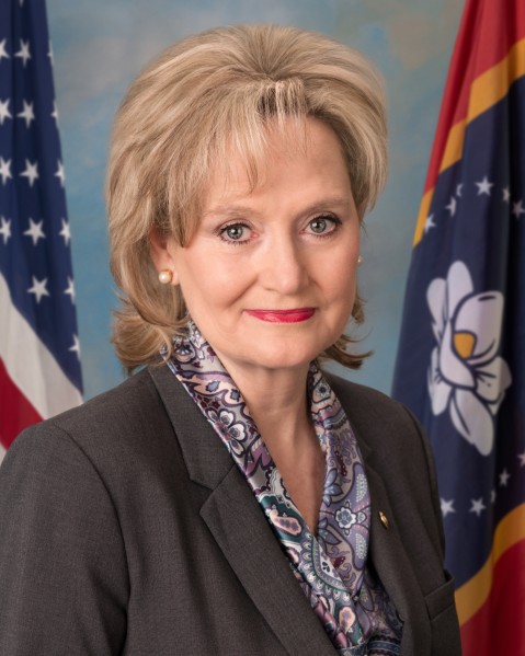 Cindy Smith - Professional Portrait