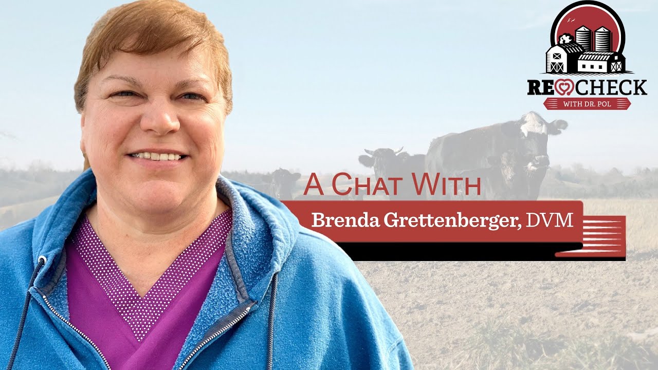 Dr. Brenda Grettenberger - Professional Portrait