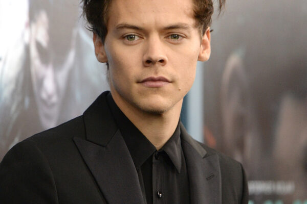 Harry Styles - Professional Portrait
