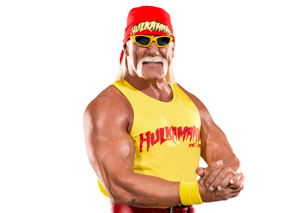 Hulk Hogan - Professional Portrait
