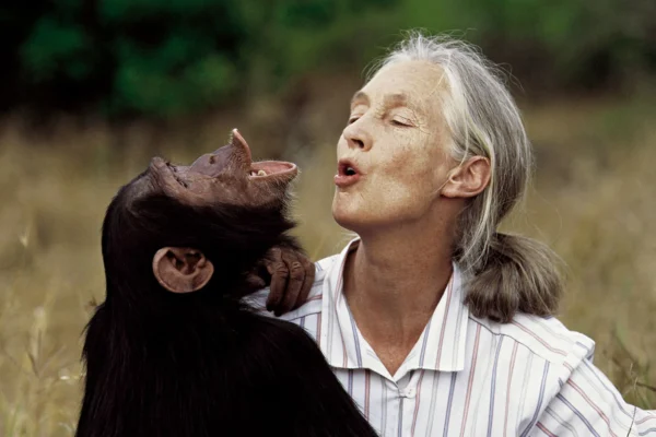 Jane Goodall - Professional Portrait