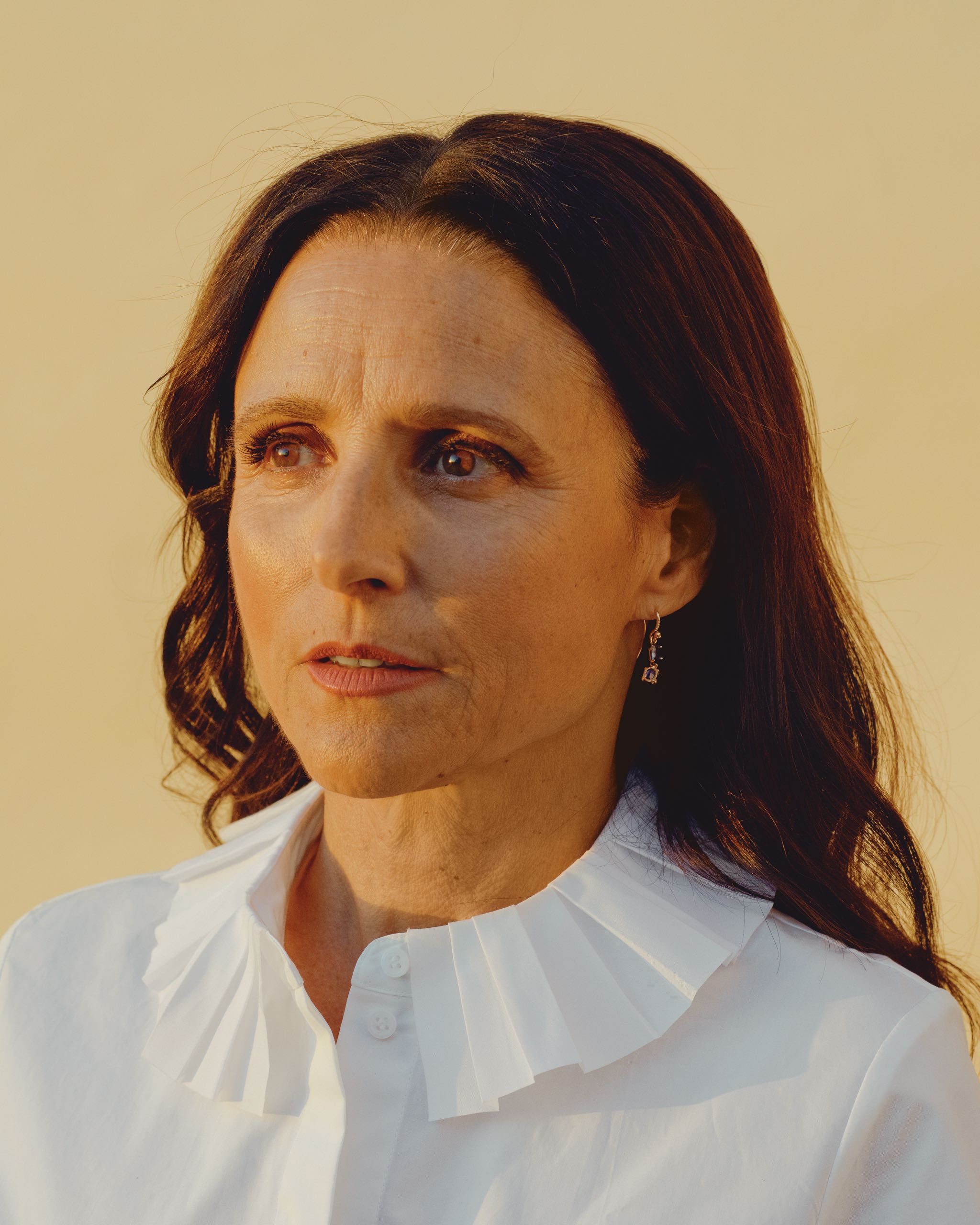 Julia Louis-Dreyfus - Professional Portrait