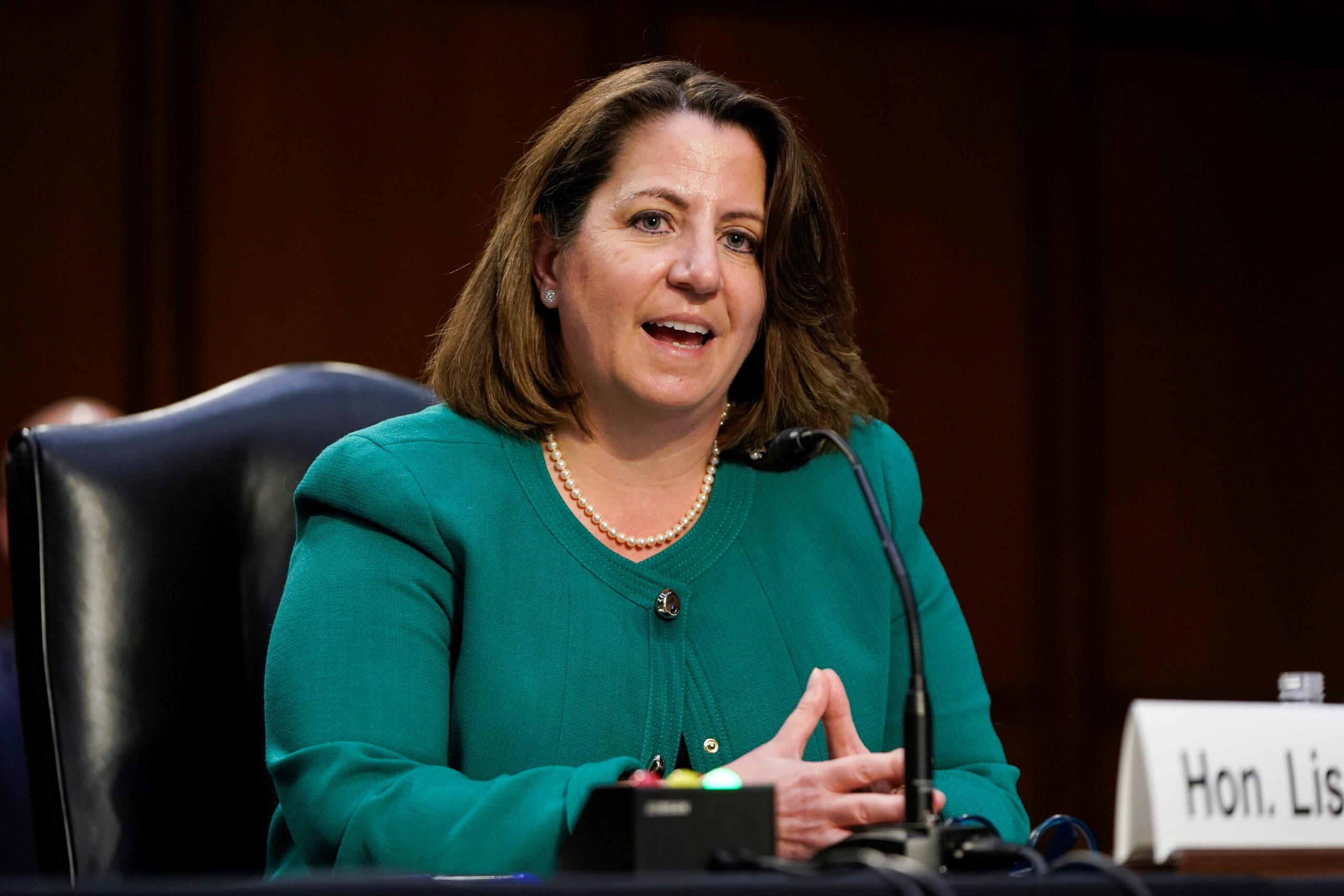 Lisa Monaco - Professional Portrait