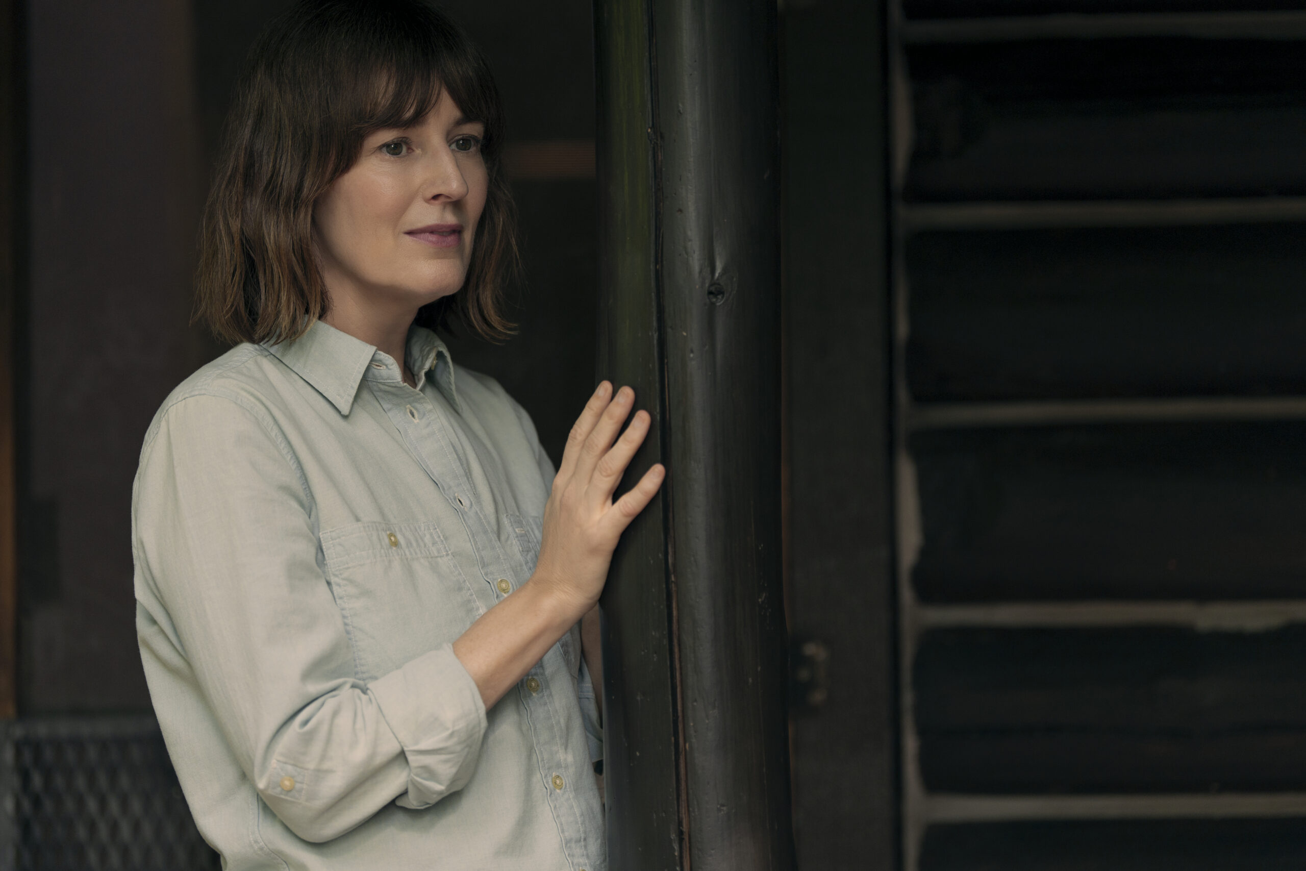 Rosemarie DeWitt - Professional Portrait