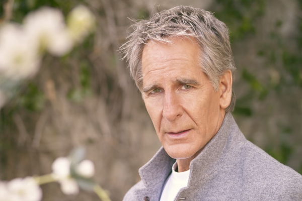 Scott Bakula - Professional Portrait
