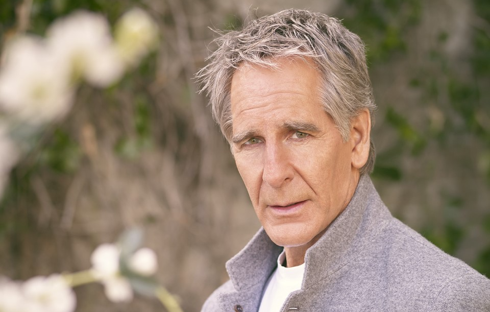 Scott Bakula - Professional Portrait