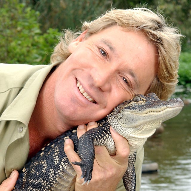 Steve Irwin - Professional Portrait