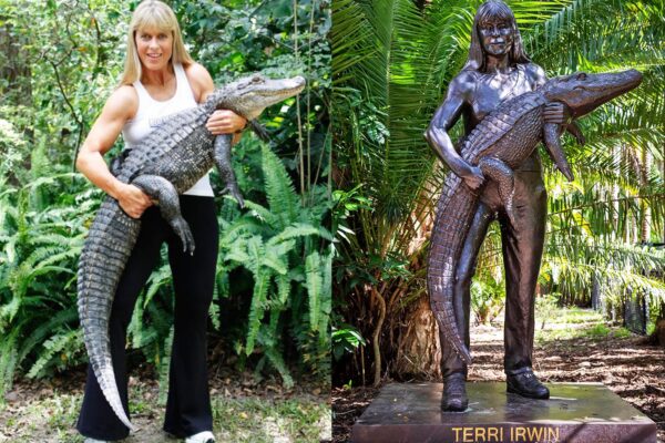 Terri Irwin - Professional Portrait