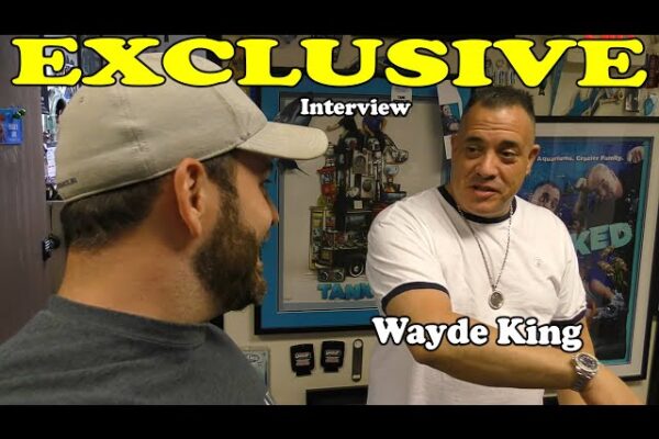 Wayde King - Professional Portrait