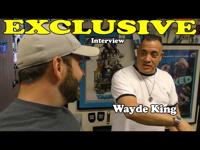 Wayde King - Professional Portrait